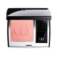 DIOR - Rouge Blush - 100 Nude Look Cheap